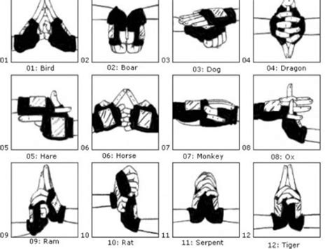 Pinterest | Naruto hand signs, Naruto, Ninja art