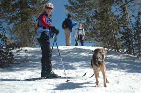 Tahoe Meadows Snow Play Area - Snowshoeing, Sledding