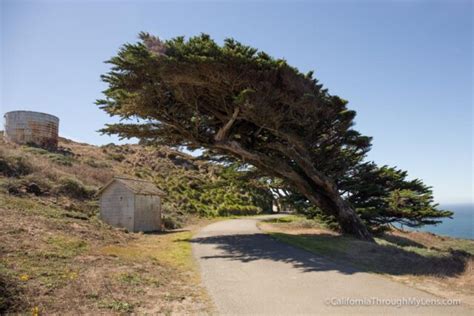 Point Reyes Lighthouse: One of California's Most Beautiful Coastal Scenes - California Through ...