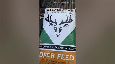 Using Mo’ Buck Deer Feed for 1st time - YouTube