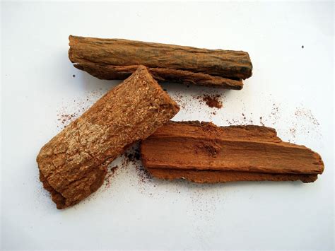 Chinchona bark is not a 'cure' for COVID-19 and it could seriously harm those who take it