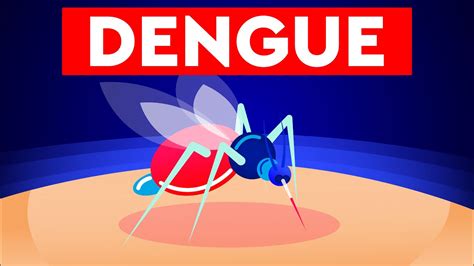 Dengue Mosquito Cartoon