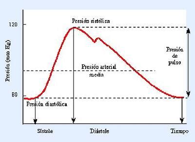 Presión arterial - Cardiacos.net