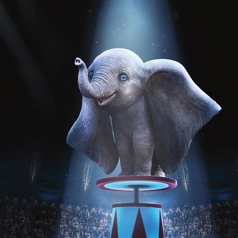 Wallpaper dumbo, elephant, animation movie, 2019 desktop wallpaper, hd image, picture ...