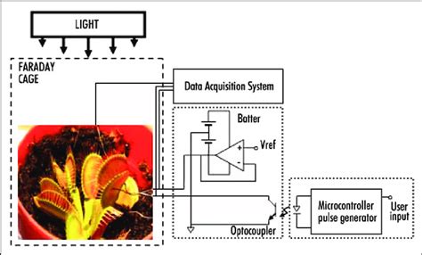 Experimental setup. | Download Scientific Diagram