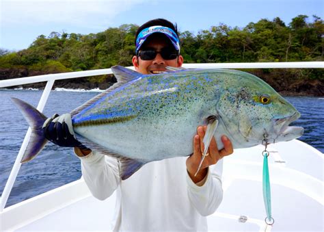 How to Catch Bluefin Trevally (Omilu) - Tips for Fishing for Bluefin Trevally (Omilu)