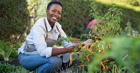 Why Is Gardening Good For You?