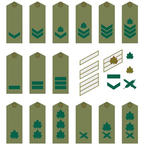 Turkish military ranks Vector Art Stock Images | Depositphotos