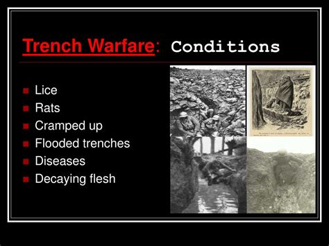 PPT - Trench Warfare PowerPoint Presentation, free download - ID:513691