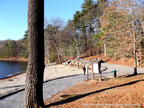 Walden Pond State Reservation, MA | To The Herbs