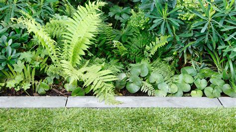 Garden edging ideas: 18 stylish ways to border your lawns, flower beds, and paths