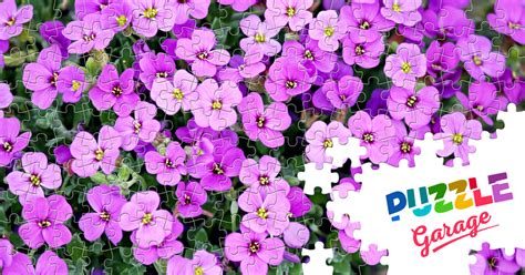 Flowers Jigsaw Puzzle (Plants, Flowers) | Puzzle Garage