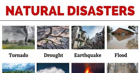 Natural Disasters: List of Common Natural Disasters with the Picture ...