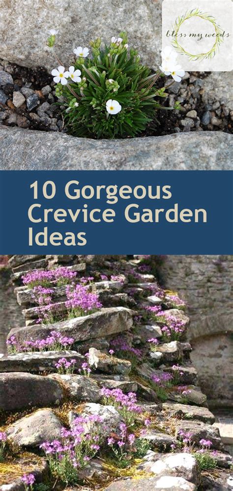 10 Gorgeous Crevice Garden Ideas ~ Bless My Weeds