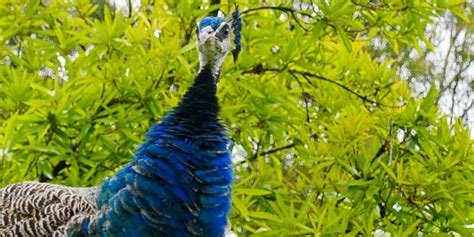 Explore Garden of Eden - East Maui