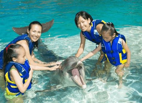 Oahu Hawaii Dolphin Encounter Non Swim Booking Page