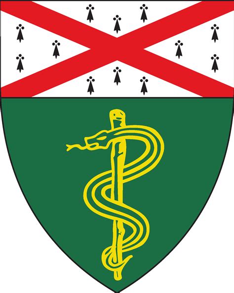 Yale School of Medicine Logo Vector - (.Ai .PNG .SVG .EPS Free Download)