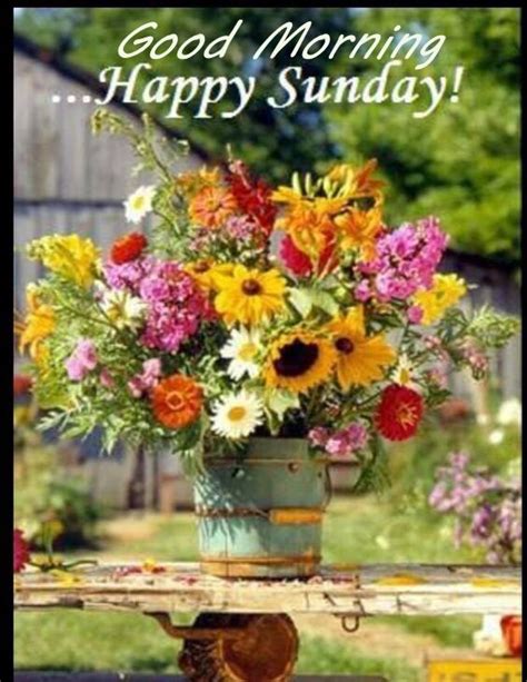 Happy Sunday – Good Morning - Good Morning Wishes & Images