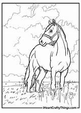 43 Western Horse Coloring Page Ideas P  Vrogueco sketch template
