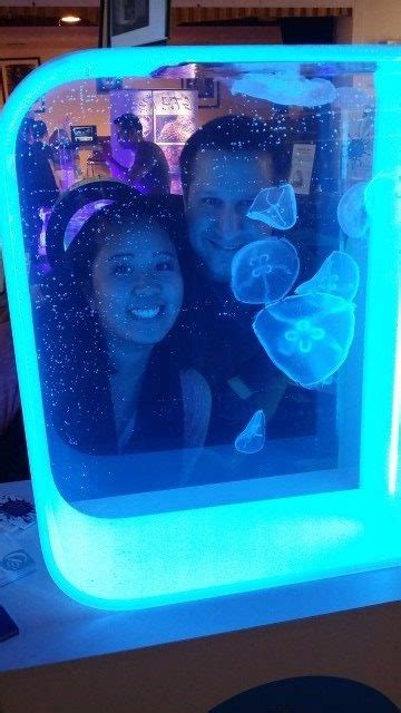 Jellyfish Direct at the Toronto Coral Show – Jellyfish Aquarium