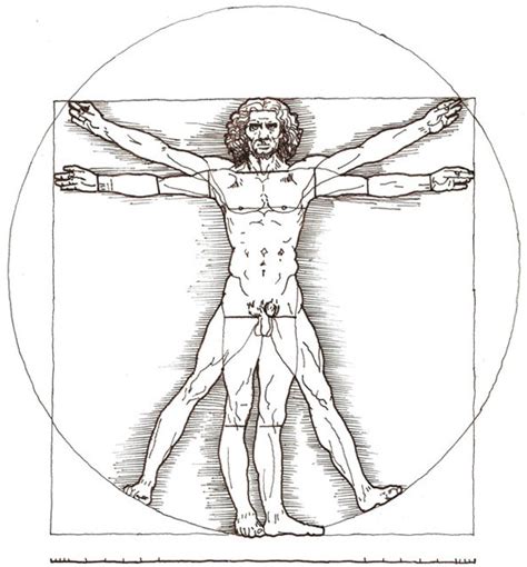 Vitruvian Man | The New Vitruvian Man