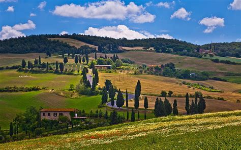 HD wallpaper: Lucca, Tuscany, Italy, Nature, Trees, landscape ...