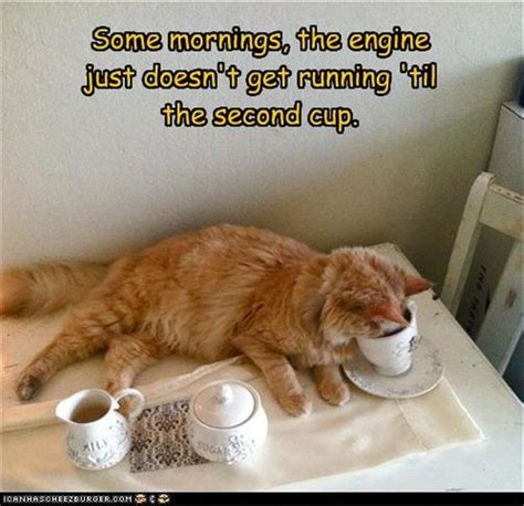 funny coffee in the morning pictures - Dump A Day