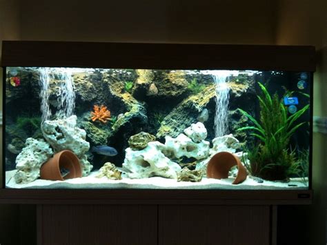 Photo #1 - My Juwel Rio180 Malawi Cichlid Tank Setup