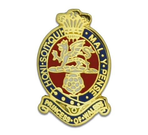 Princess of Wales's Royal Regiment Regimental Lapel Badge - Etsy