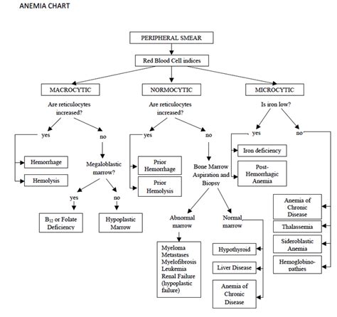 Anemia Flowchart