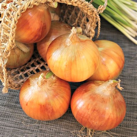 Onion Varieties - Types of Onions and How to Use Them