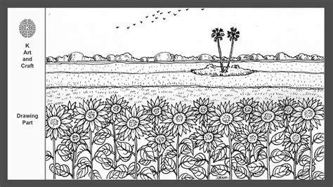 Sunflower Field Drawing