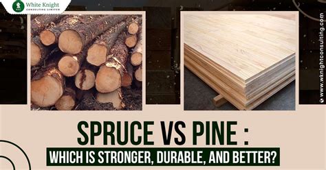 Spruce vs Pine : Which is Stronger, Durable, and Better?