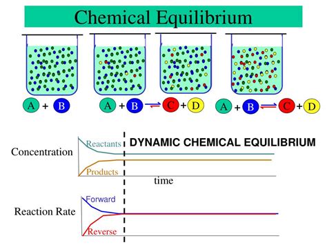 Chemical Equilibrium Diagram