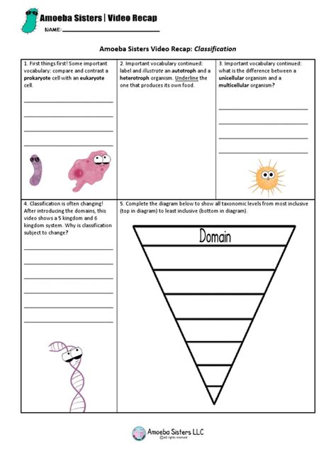 Amoeba Sisters Classification Answer Key