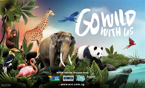 Singapore Zoo Tickets - World Famous 'Open Concept' Zoo