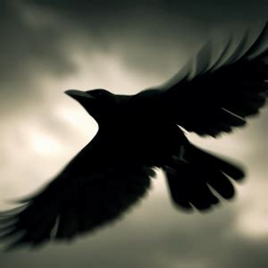 Understanding crow migration and its impact on their behavior – Nature ...