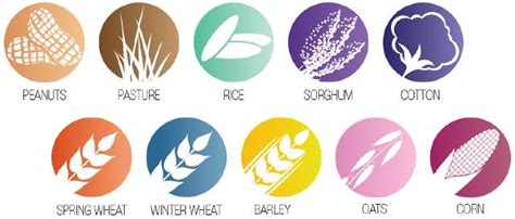 Classification of Crop Plants in Agriculture: Agronomic Classification