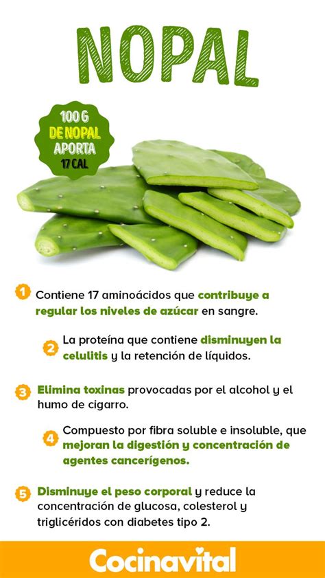 8 beneficios del nopal para tu salud que debes conocer - Cocina Vital - ¿Qué cocinar hoy ...