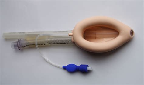 File:ProSeal Laryngeal Mask Airway inflated 001.jpg - Wikimedia Commons
