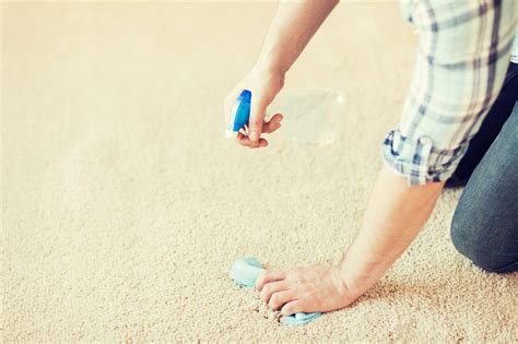 Powerful Homemade Carpet Cleaner for Pet Urine and Stains | Shiny Clean Kitchen