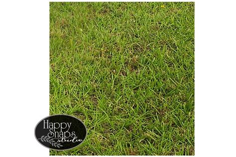 Photoshop Overlay, Grass Texture, Instant Download, Green Grass Clipart, Stock Photo, Digital ...