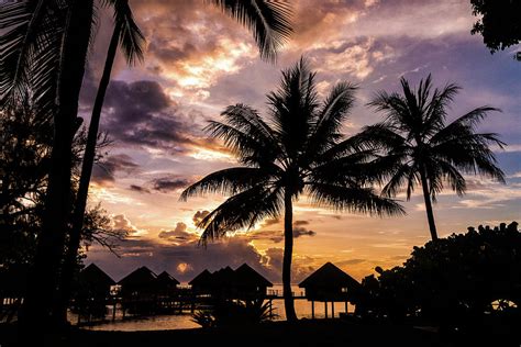 Beach Hut Sunset, Tahiti Photograph by Peter Crook - Fine Art America