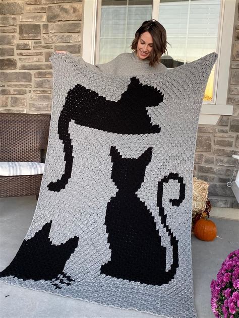 Crochet Cat Blanket Patterns You'll Love in 2020 | Crochet cat, Cat blanket, Crochet cat pattern