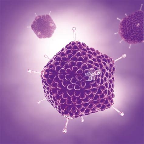 Sapovirus