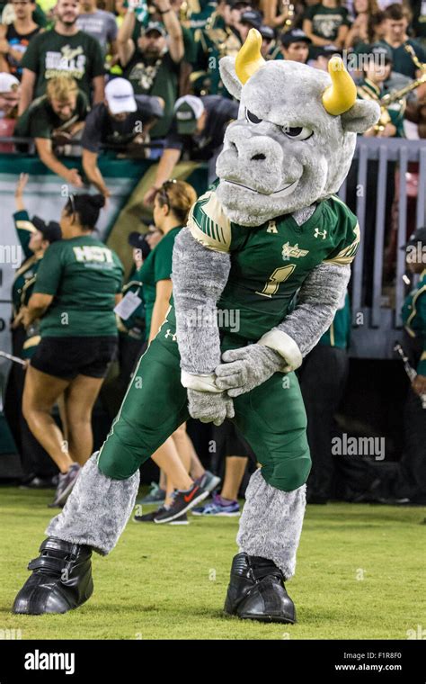 Tampa, Florida, USA. 5th September, 2015. USF mascot ''Rocky the Bull ...