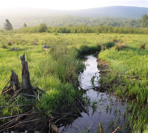 Creating the Canaan Valley National Wildlife Refuge - Robert C. Byrd Center for Congressional ...