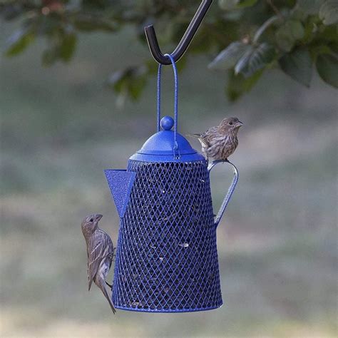 12 Whimsical Winter Bird Feeders - Birds and Blooms