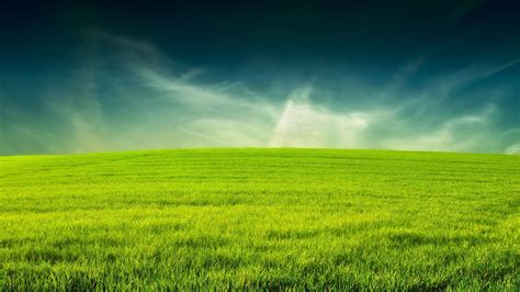 Wallpapers Of Grassland - Wallpaper Cave