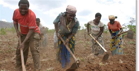 A Glimpse of the Peasant and Small Farmer : Via Campesina